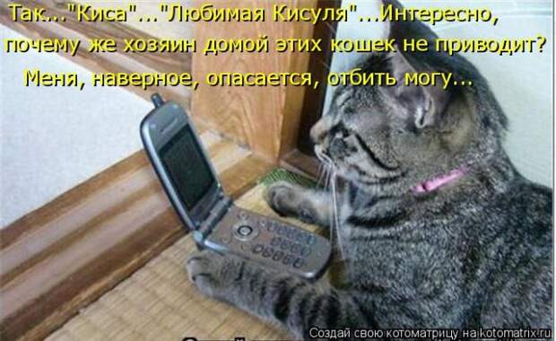 Забавные котоматрицы