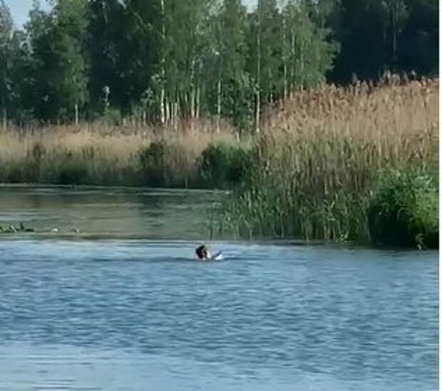 Житель Колпино вытащил из реки Ижора двух утопающих мужчин