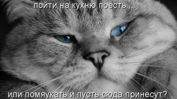 Мысли вслух :)