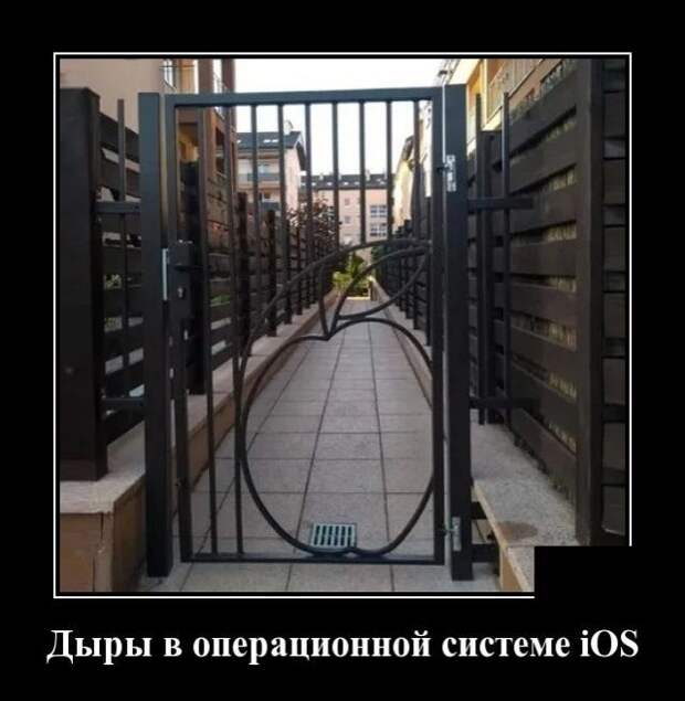 demotivatory-demotivator-smeshnye-demotivatory-demotivator-so-smyslom