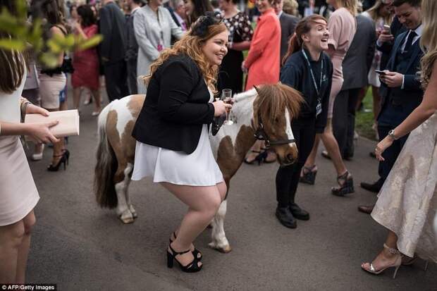 28 феерических фото о том, как прошел День Леди на скачках Grand National в Англии 