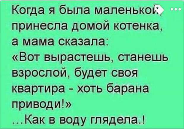 Психиатр на приеме задает пациенту вопрос: - Какое сегодня число?...