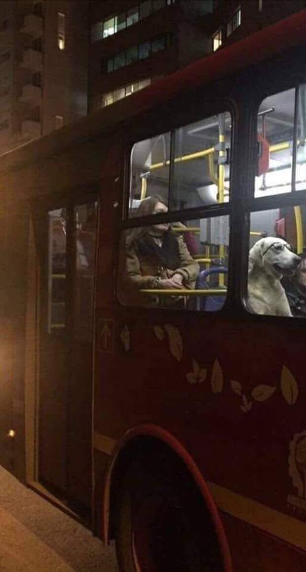 Подборка прикольных картинок