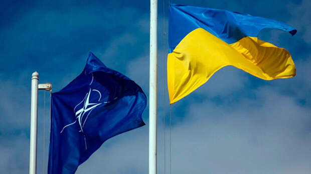 Вступление Украины в НАТО не обсуждается – Рютте