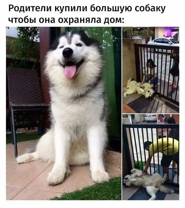 Я ангел, честно... Просто на метле реально быстрее... Я ангел, честно... Просто на метле реально быстрее... чтото, тудасюда, расслабьтесь, между, будут, писать, обезьян, говорит, спросила, отправить, увожаимый, каспадин, мениздр, аброзаванейаМужик, находящийся, командировке, решил, подарокОна, насилияЕсли, получает