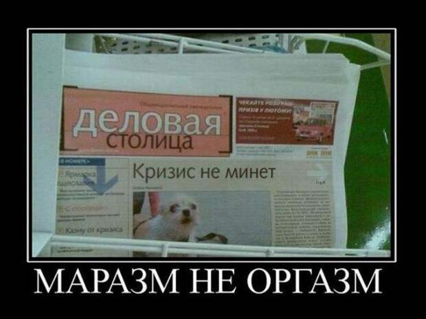 Демотиваторы (30 фото)