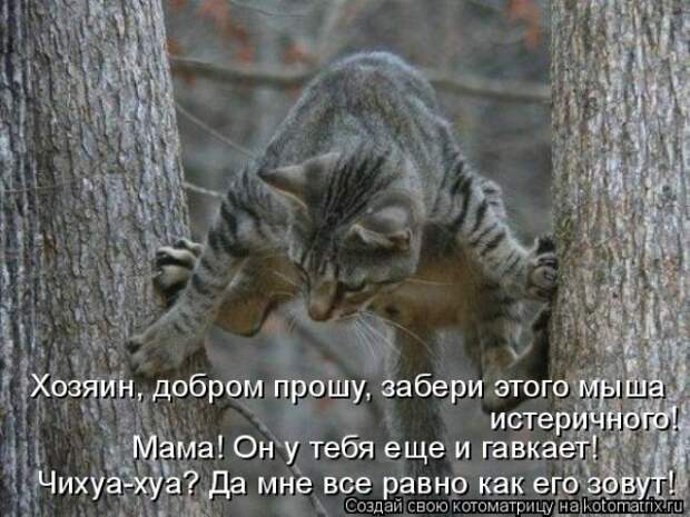 Мысли вслух :)