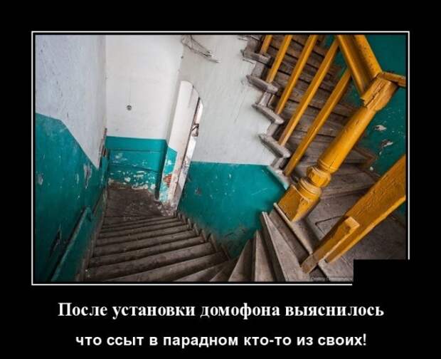 Демотиваторы (30 фото)