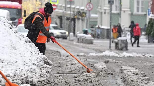 Синоптик Позднякова: в начале января снегопады в Москве сменятся оттепелью