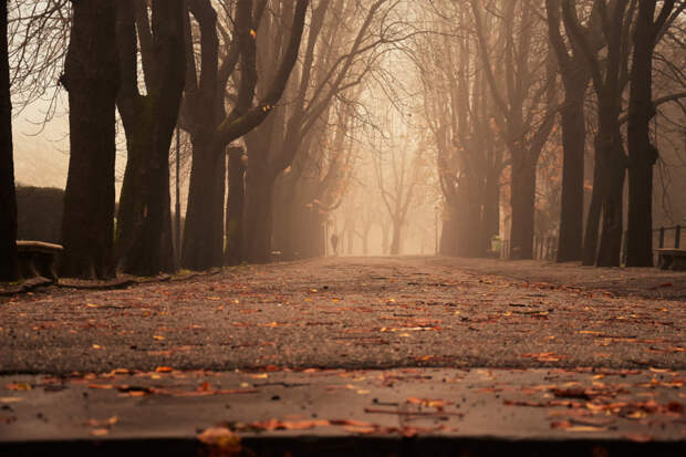 the avenue of the castle by Carlotta  Ricci on 500px.com