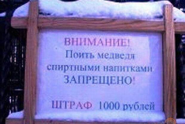 Добро пожаловать в зоопарк! Добро пожаловать в зоопарк!