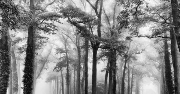 Солнечное великолепие: 19 фотопейзажей Солнечное великолепие: 19 фотопейзажей