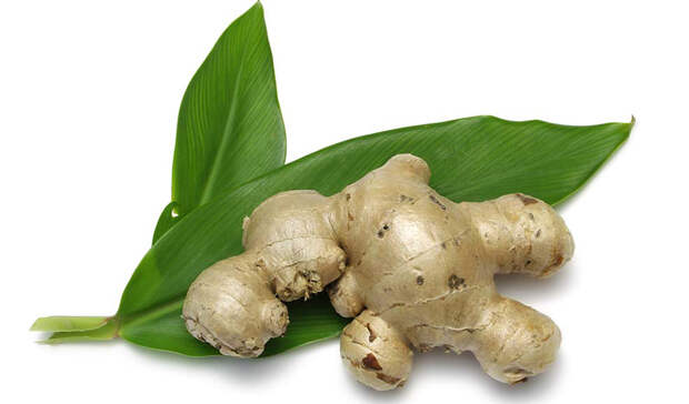 Несколько продуктов, которые сжигают лишний жир
