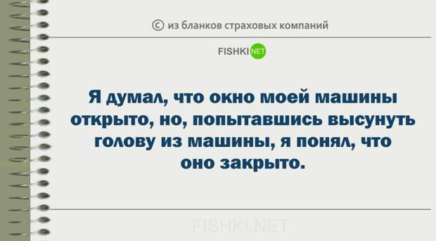 Забавные пояснения из бланков страховых компаний страховка, юмор
