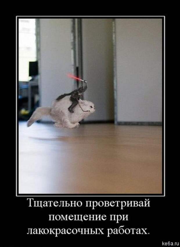 Животным смешно, а вам? (90 фото)