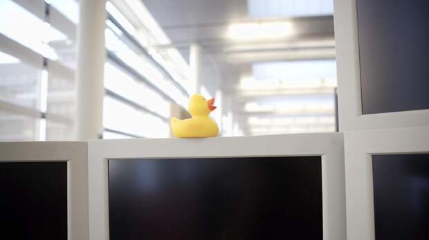 Из переживания в действие: как метод «резиновой уточки» помогает справиться с хаосом