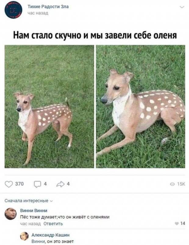www.vsyako.net