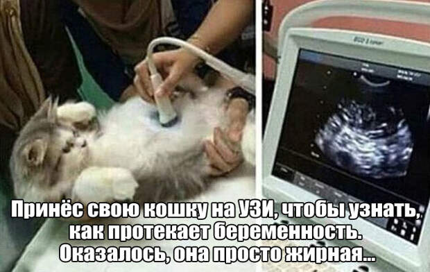 Прикольные картинки. Вечерний выпуск (53 фото)