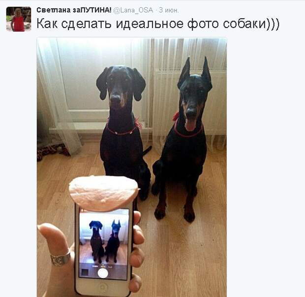Не политические комментарии и картинки из соц. сетей   Не политические комментарии и картинки из соц. сетей, подборка, юмор