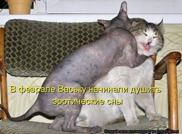 1360139951_9 (700x519, 73Kb)