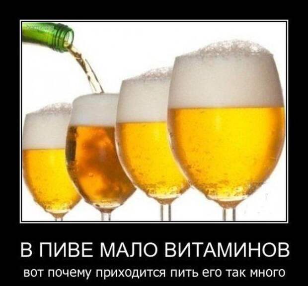 Демотиваторы (30 фото)