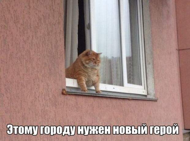 Прикольные картинки на каждый день