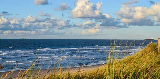 Каспий в центре внимания: в Мангистау пройдёт международная экологическая неделя