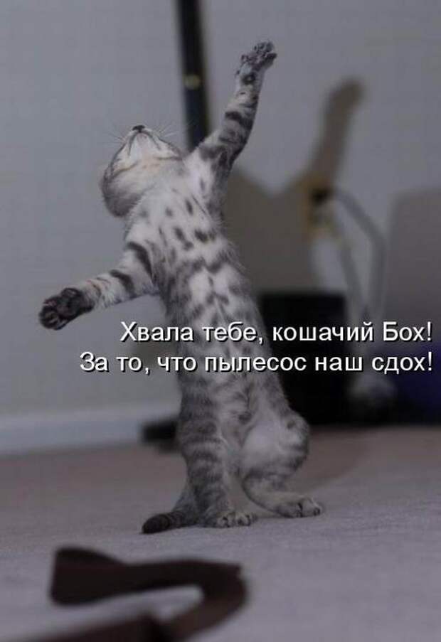 Мысли вслух :)