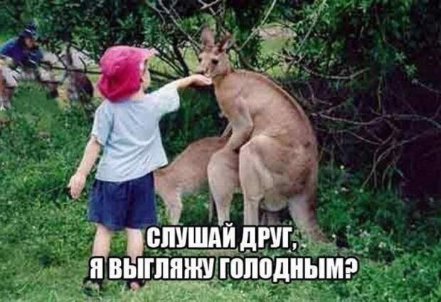 kommentarii-iz-socialnyh-setej-5