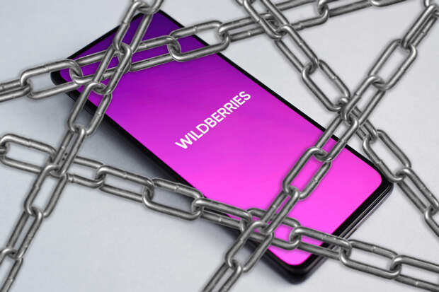 Начиная с "раздевания до трусов" и заканчивая "загадкой зарплаты": Бывший сотрудник Wildberries назвал реальные условия труда