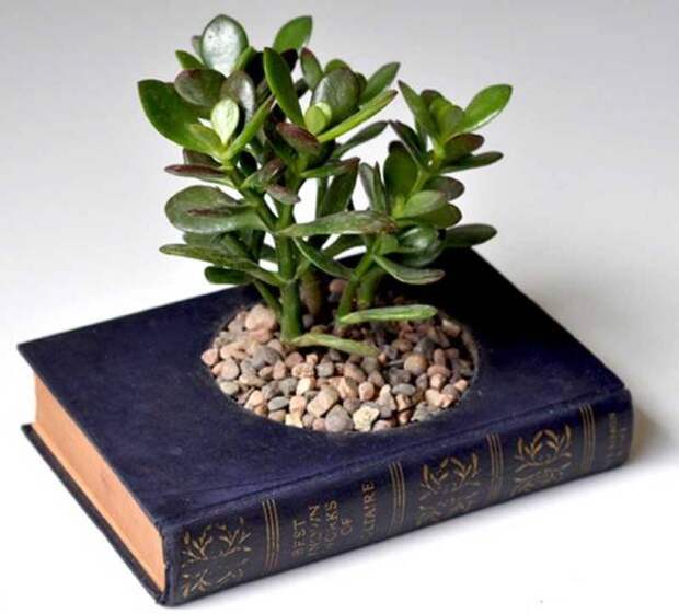 Горшок для растений из книги