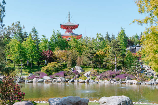 Больше половины россиян возвращаются в Краснодарский край