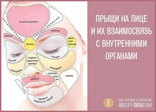 Карта лица высыпания органы