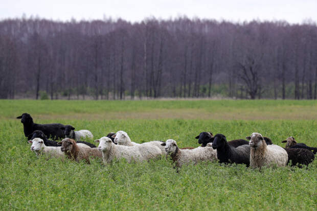 «Йонның биржа сатуларына кертелүе аның статусын күтәрде»: Йон кайчан керем китерер?