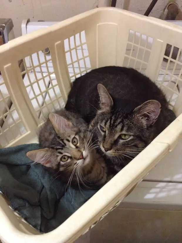 : 50      - 47 - BigPicture.ru