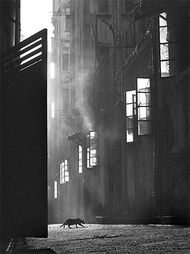 fan ho 32