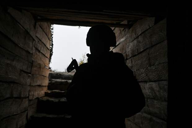 Названо число отправившихся на СВО фигурантов уголовных дел