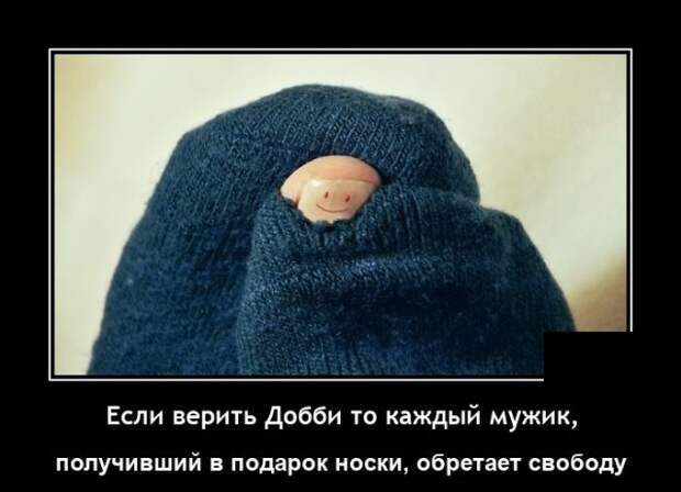 Демотиваторы 15 декабря 2021 года