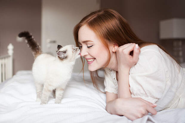 Классные фотографии любительниц кошек со своими питомцами Любительницы, коты, фотографии