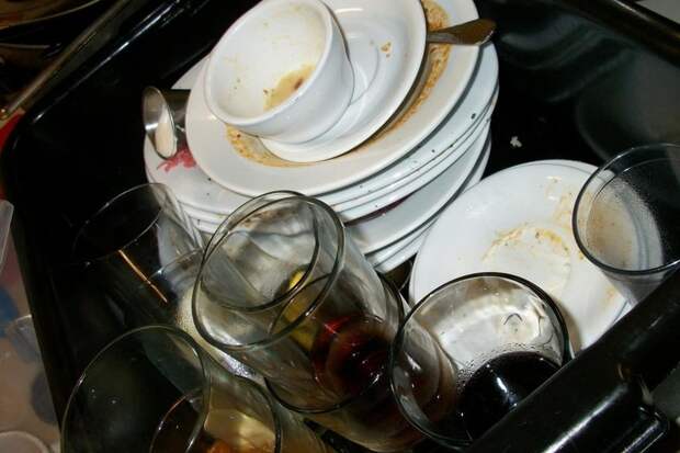 Предупредить легче, чем победить: 6 полезных советов, которые помогут уберечь дом от тараканов