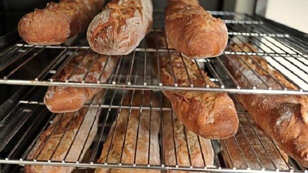 Где самая вкусная еда? 10 стран с их коронными блюдами