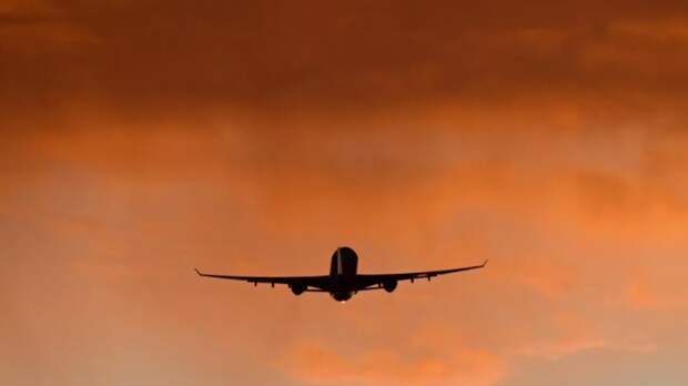 Летевший в Баку самолёт вернулся в Москву из-за столкновения с птицей