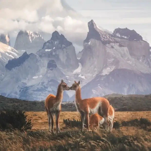 20 фото, сделанные обычными людьми, но выглядящие как работы профессионалов