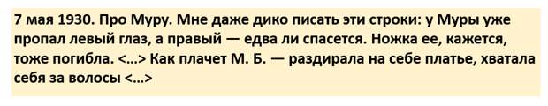 Строчки из дневника К.И. Чуковского.