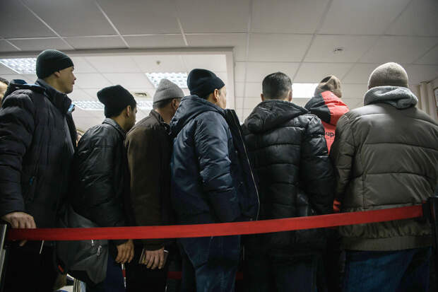 Яровая: справки о здоровье мигрантов хотят перевести в электронный формат