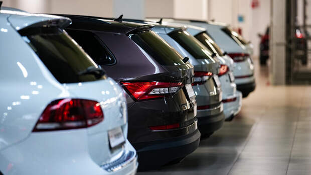 ЛДПР предложила освободить многодетные семьи и ветеранов от утильсбора