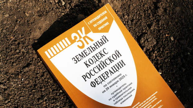 Конфискованную у коррупционеров землю планируют выставлять на продажу
