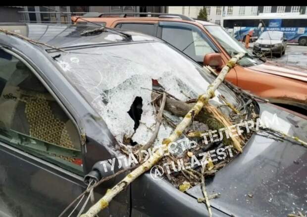В Туле на улице Советской дерево упало на автомобиль и повредило стекло