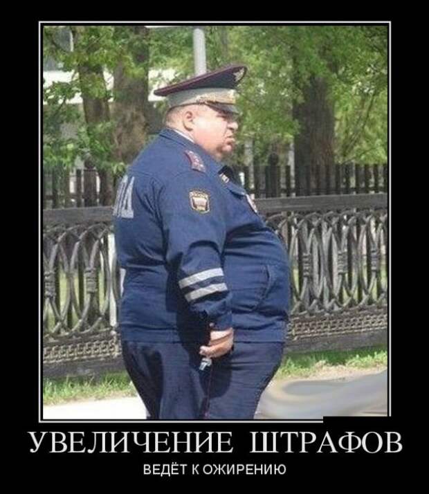 Демотиваторы (30 фото)