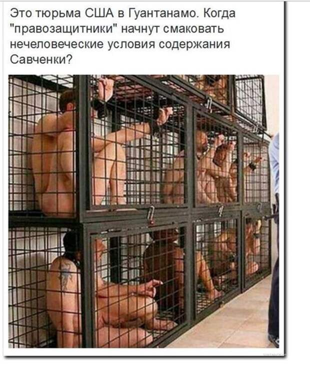 hLo2_FTXKtU.jpg